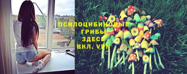 спайс Аркадак