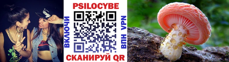 Галлюциногенные грибы мицелий  Ленинск 
